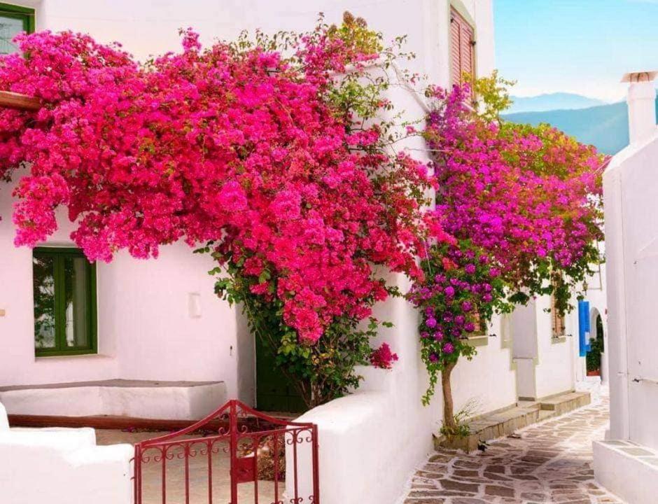 Nafpaktos Studio In Port Ιι Exterior foto